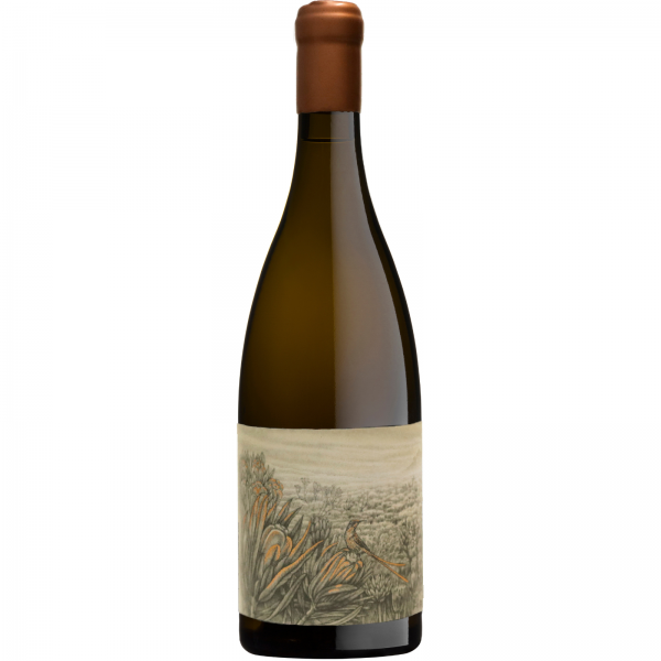 Nitida Coronata Integration